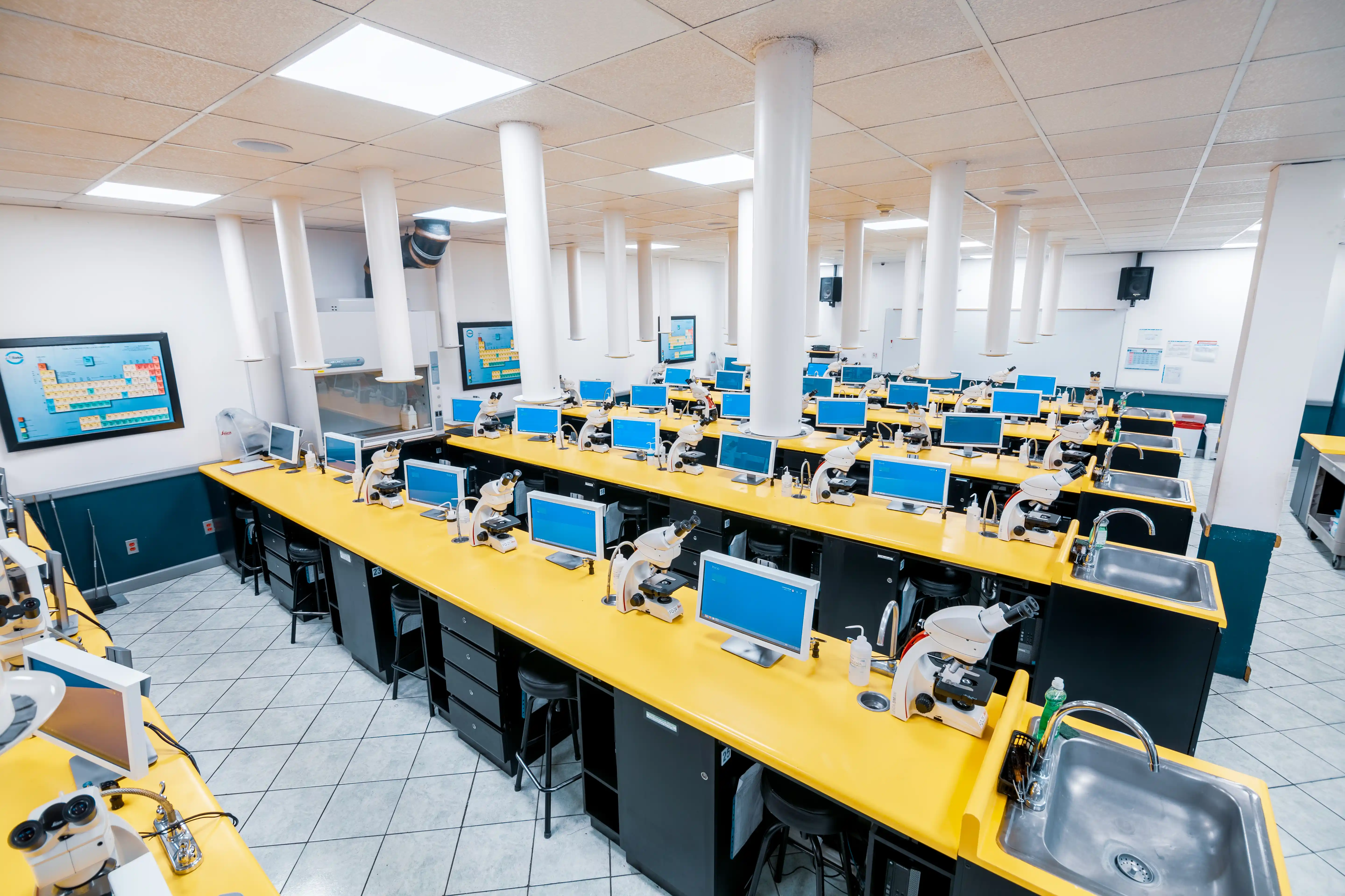 Microbiology Laboratory, Central Campus